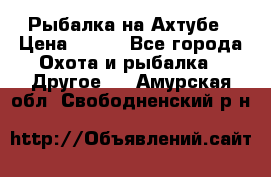 Рыбалка на Ахтубе › Цена ­ 500 - Все города Охота и рыбалка » Другое   . Амурская обл.,Свободненский р-н